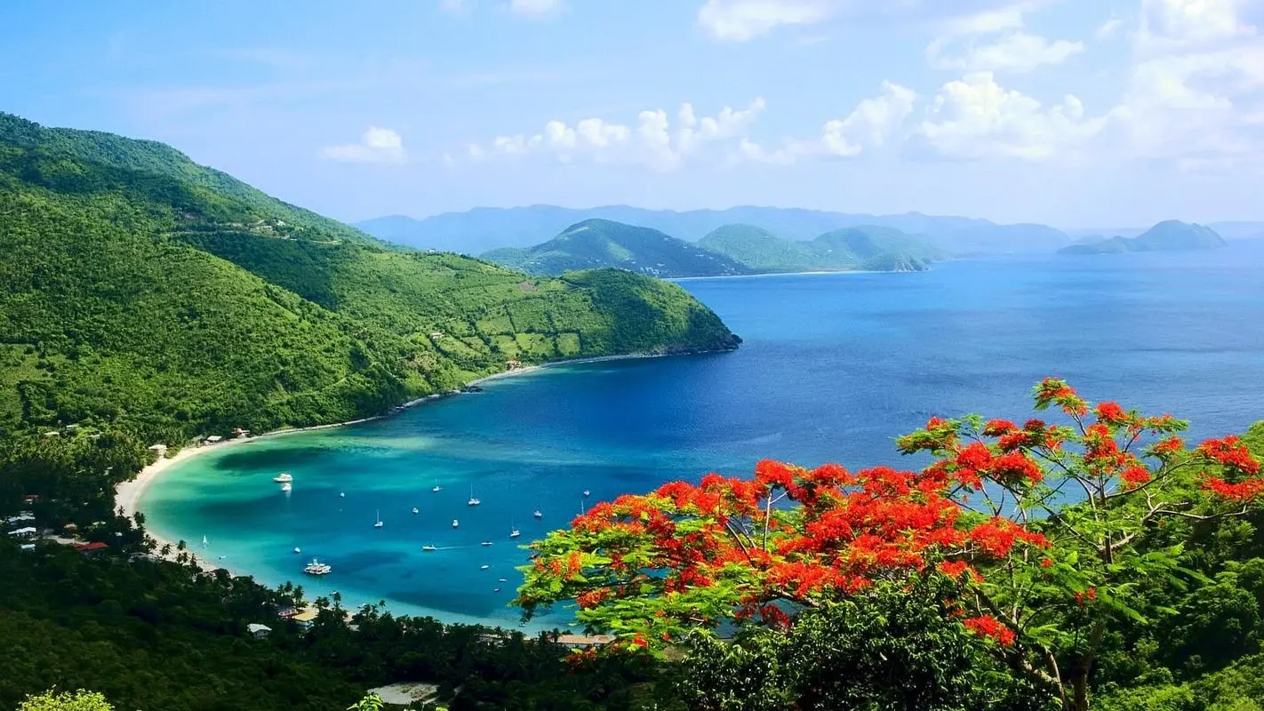 创意高效智能系统